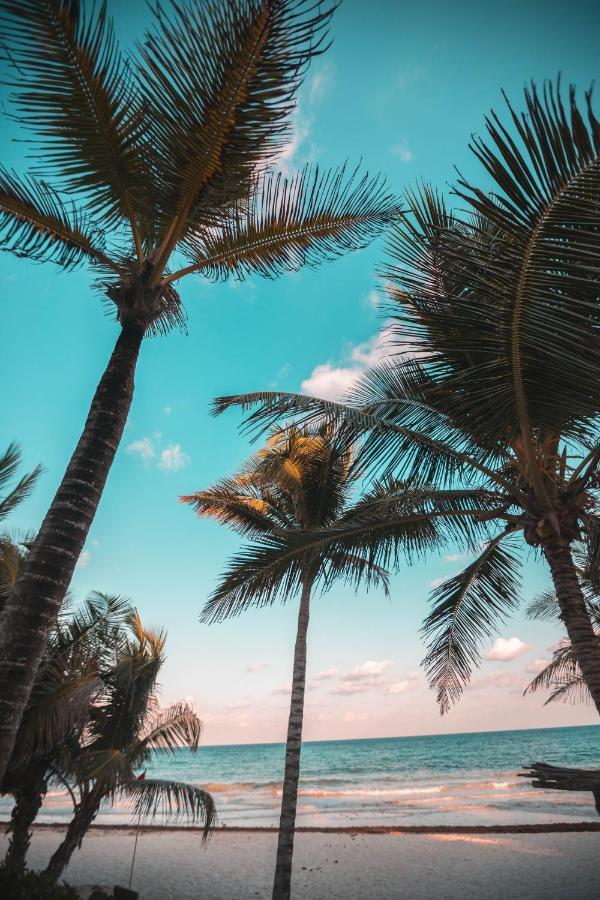 Breezy Beachfront Bali-Style Haven 180 Degree Oceanview Hau'ula Экстерьер фото